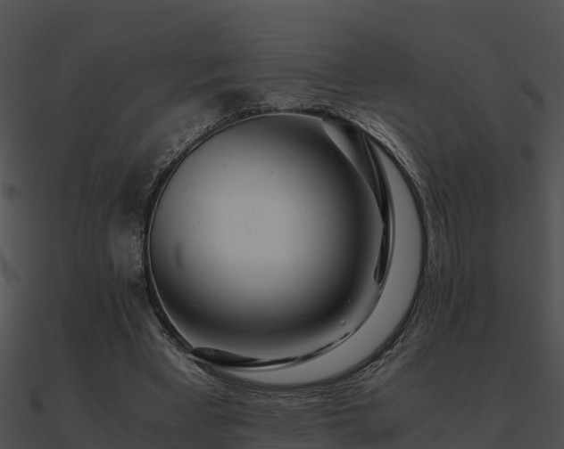 X0000090990393200708021527