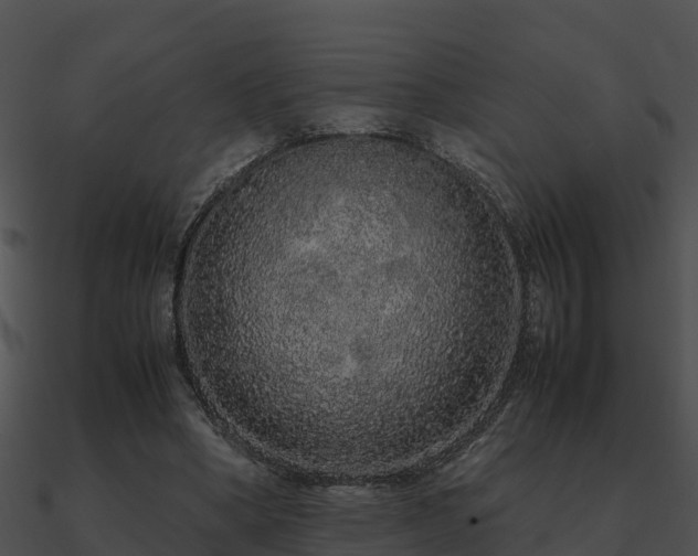 X0000090990394200708021527