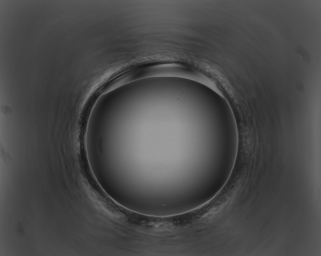 X0000090990395200708021527