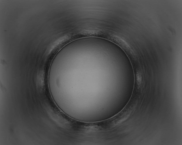 X0000090990396200708021527