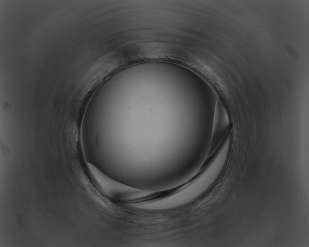X0000090990397200708021527