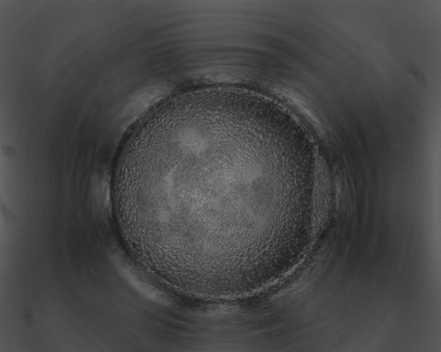 X0000090990398200708021527