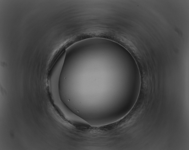 X0000090990399200708021527