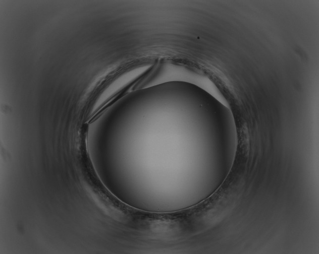 X0000090990400200708021527