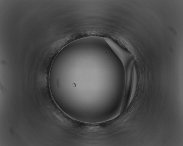 X0000090990401200708021527