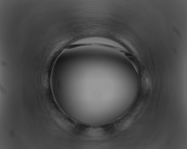 X0000090990403200708021527