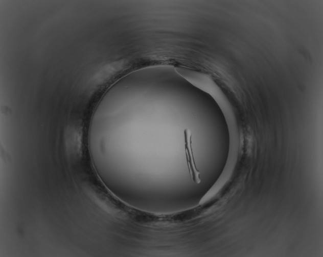 X0000090990404200708021527