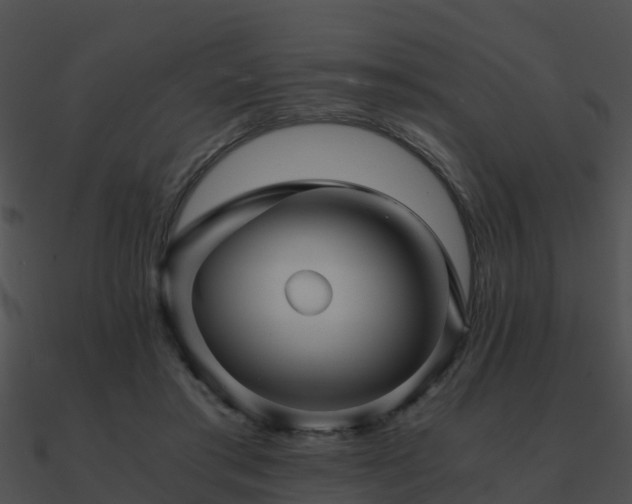 X0000090990405200708021527