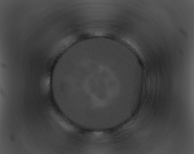 X0000090990406200708021527