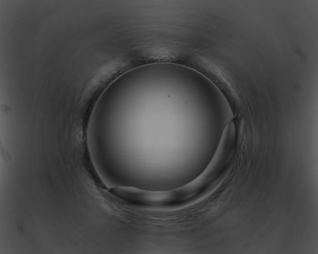X0000090990407200708021527