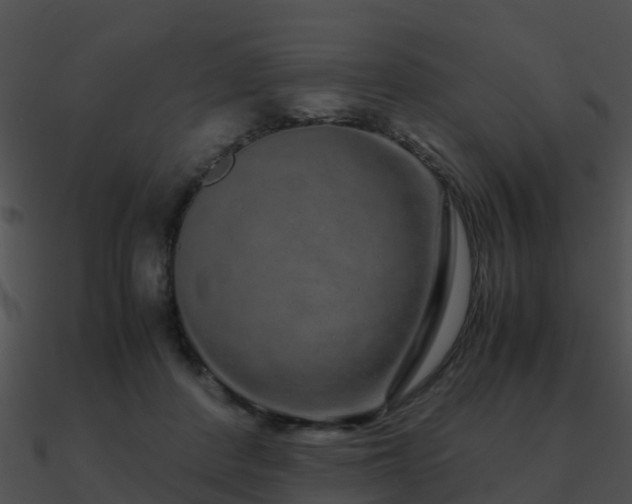 X0000090990408200708021527