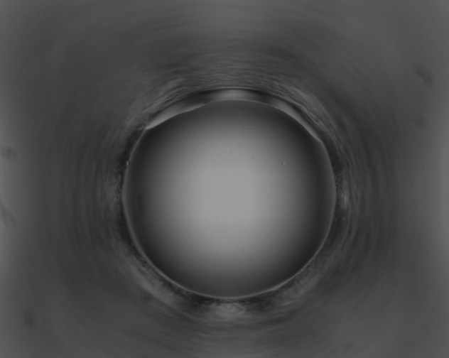 X0000090990409200708021527