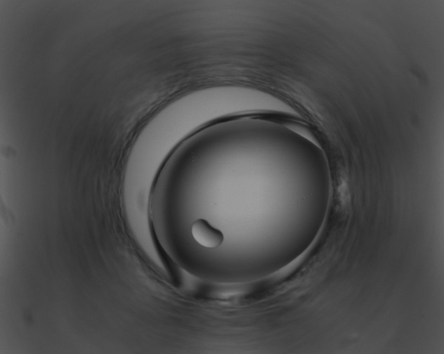 X0000090990411200708021527