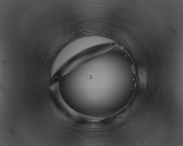 X0000090990412200708021527