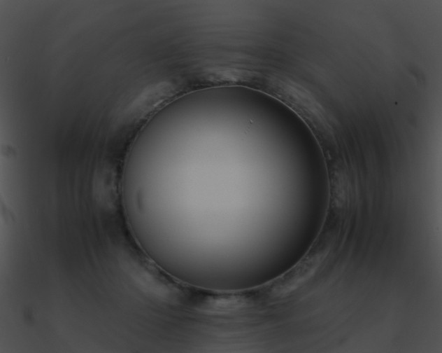 X0000090990414200708021527
