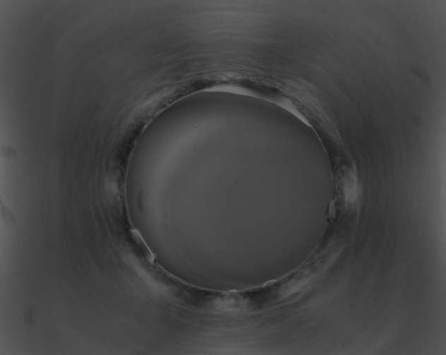 X0000090990415200708021527