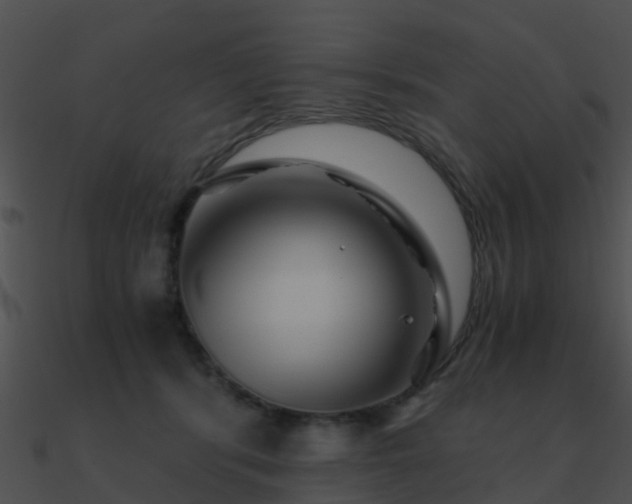 X0000090990416200708021527