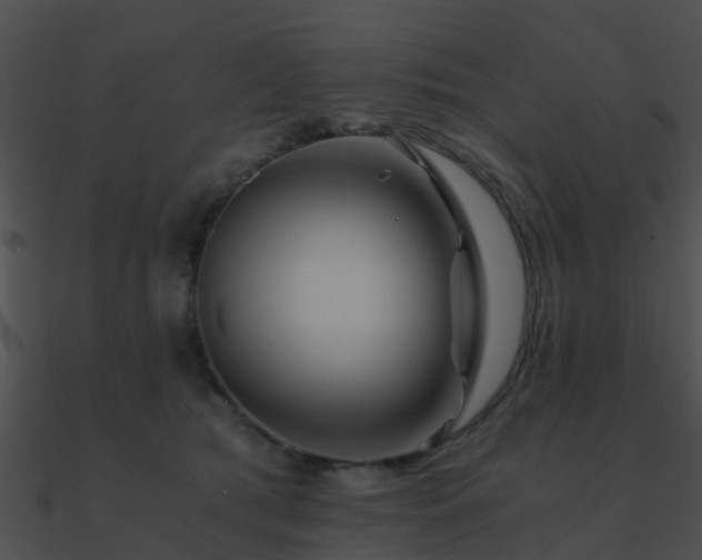 X0000090990417200708021527