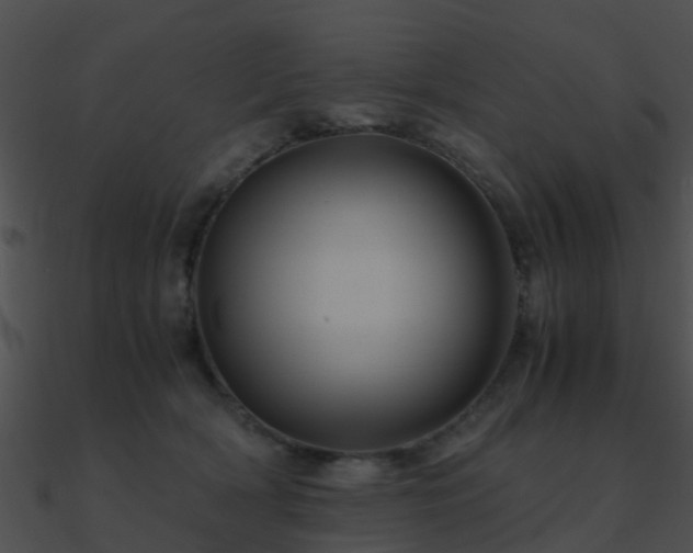 X0000090990418200708021527