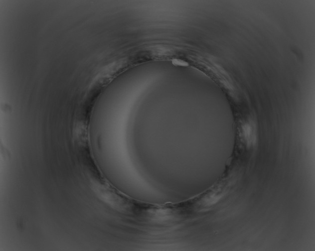 X0000090990419200708021527