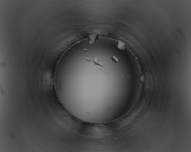 X0000090990420200708021527