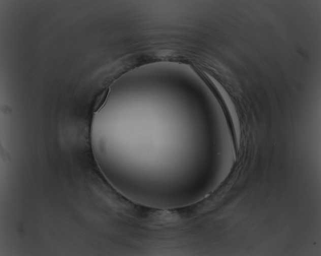 X0000090990421200708021527