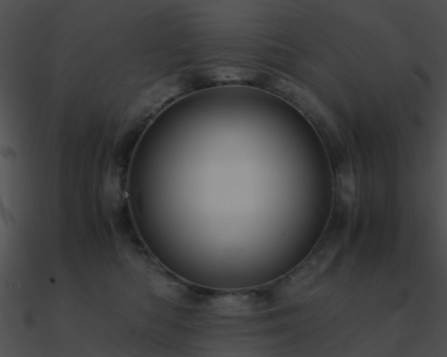 X0000090990422200708021527