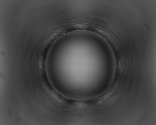 X0000090990424200708021527