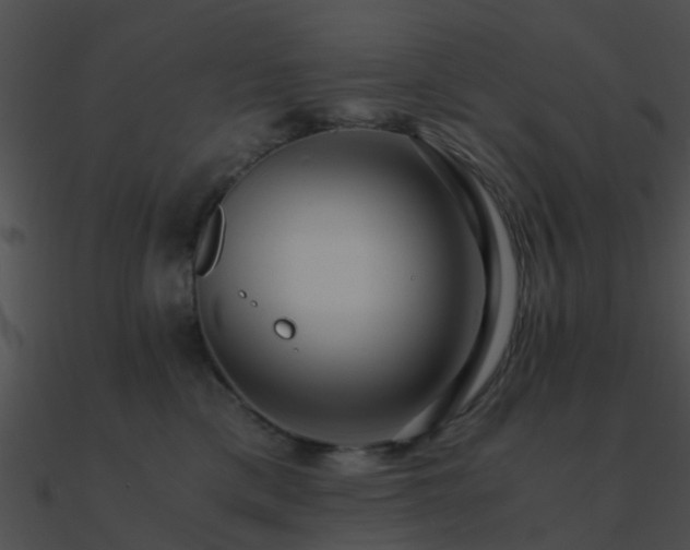 X0000090990425200708021527