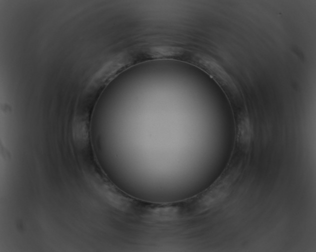 X0000090990426200708021527