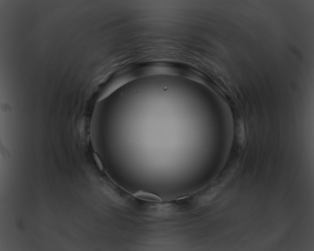 X0000090990428200708021527