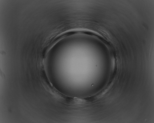 X0000090990429200708021526