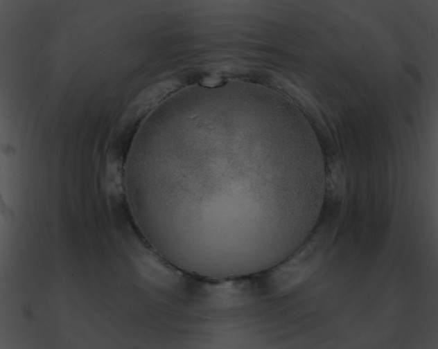X0000090990430200708021526