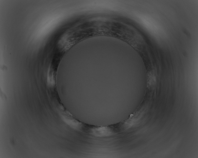 X0000090990431200708021526