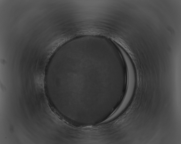 X0000090990434200708021526