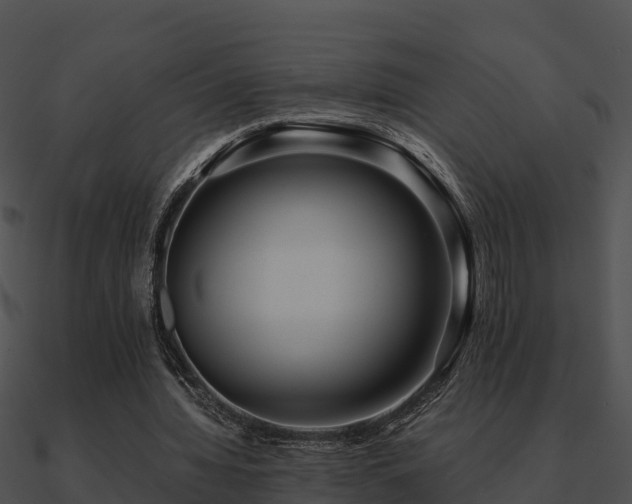 X0000090990436200708021526