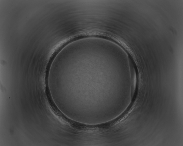 X0000090990438200708021526