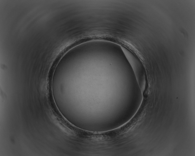 X0000090990439200708021526