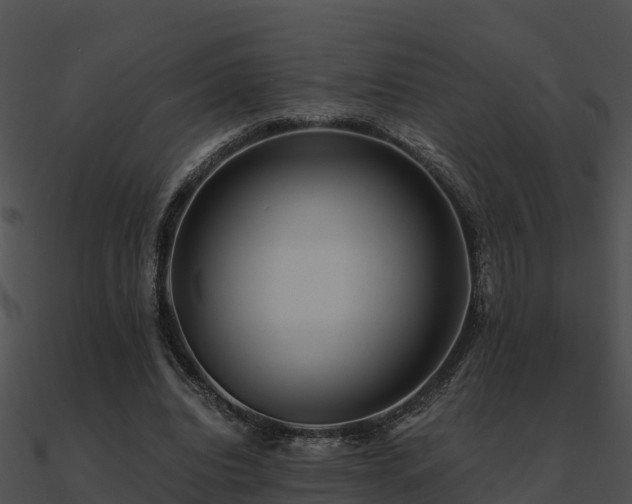 X0000090990440200708021526