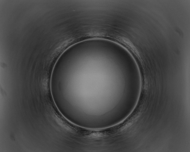 X0000090990441200708021526