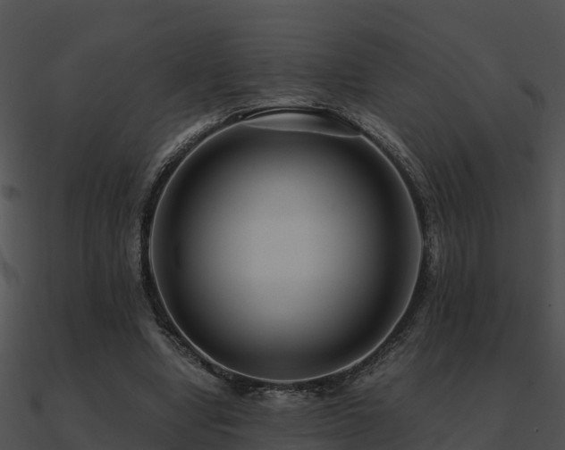 X0000090990442200708021526