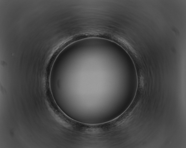 X0000090990444200708021526