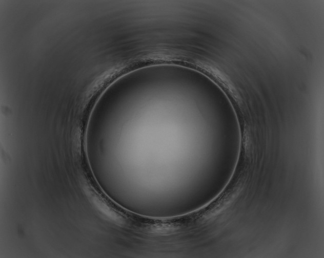 X0000090990445200708021526