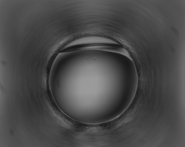 X0000090990446200708021526