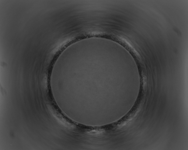 X0000090990447200708021526