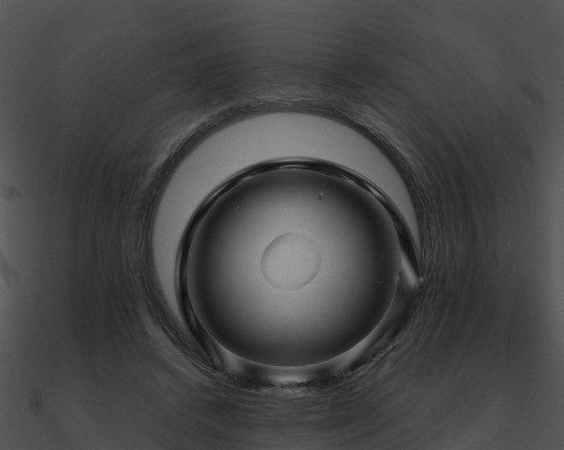 X0000090990448200708021526