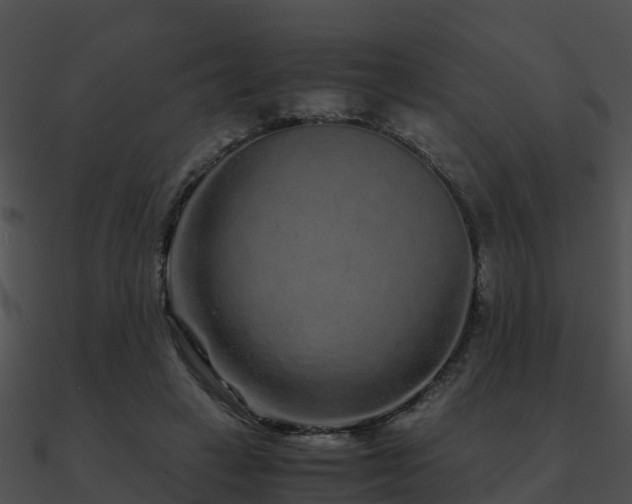 X0000090990449200708021526