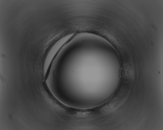 X0000090990450200708021526