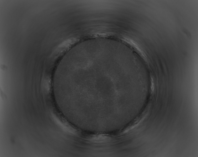 X0000090990451200708021526
