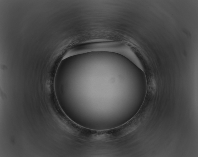 X0000090990452200708021526